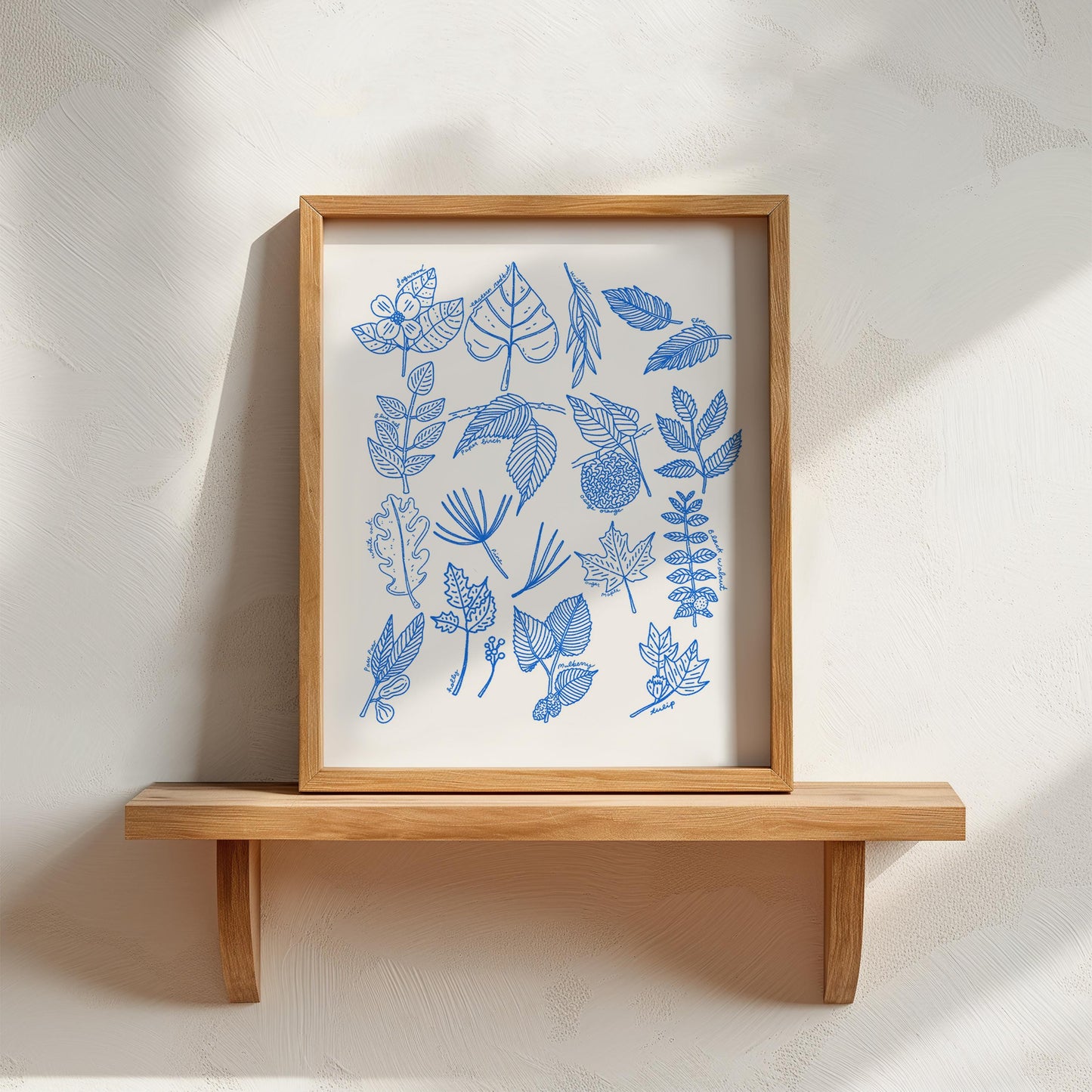 Missouri Native Trees